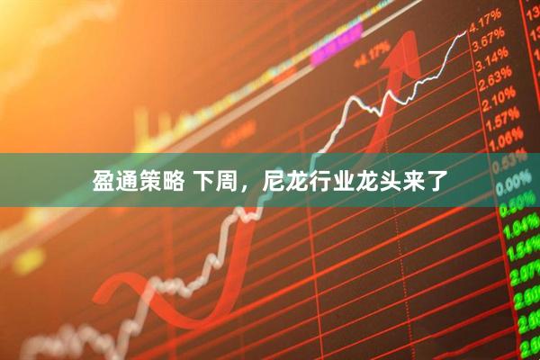 盈通策略 下周，尼龙行业龙头来了