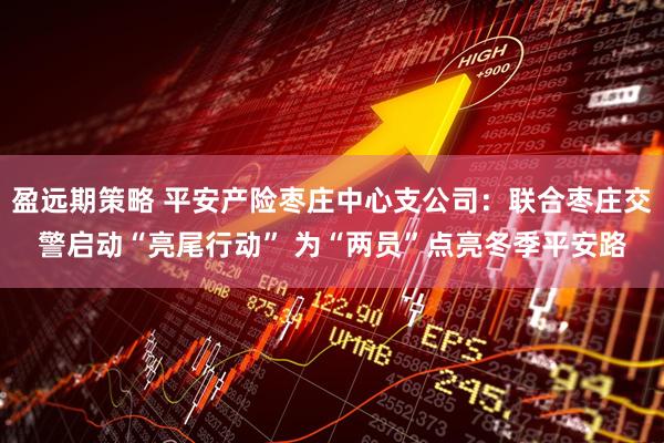 盈远期策略 平安产险枣庄中心支公司：联合枣庄交警启动“亮尾行动” 为“两员”点亮冬季平安路